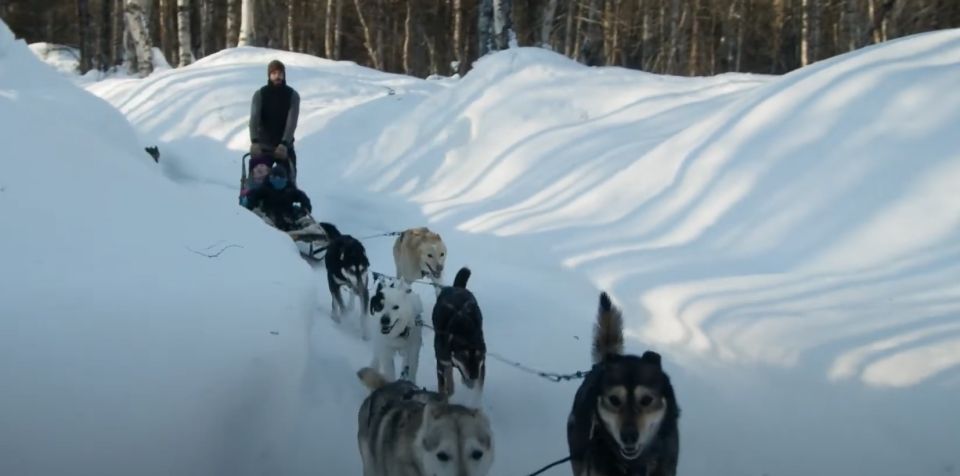 Talkeetna: Alaskan Winter Dog Sledding Experience - Common questions