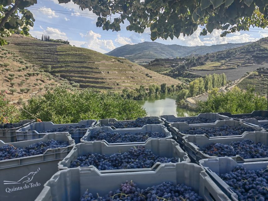 The Best Douro Wine Tour From Porto - Pickup and Drop-off Details