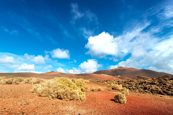 Timanfaya & Lanzarote Volcano Experience - Additional Information