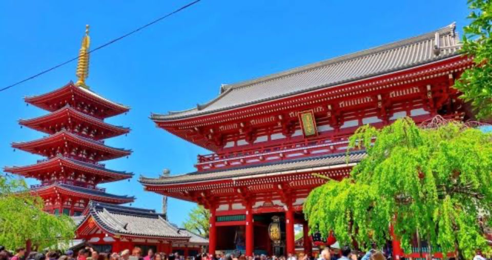 Tokyo: 1 Day Private Customizable City Tour by Car and Van - Final Words