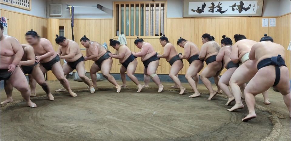 Tokyo: Morning Sumo Practice Viewing - Tips and Recommendations for Visitors