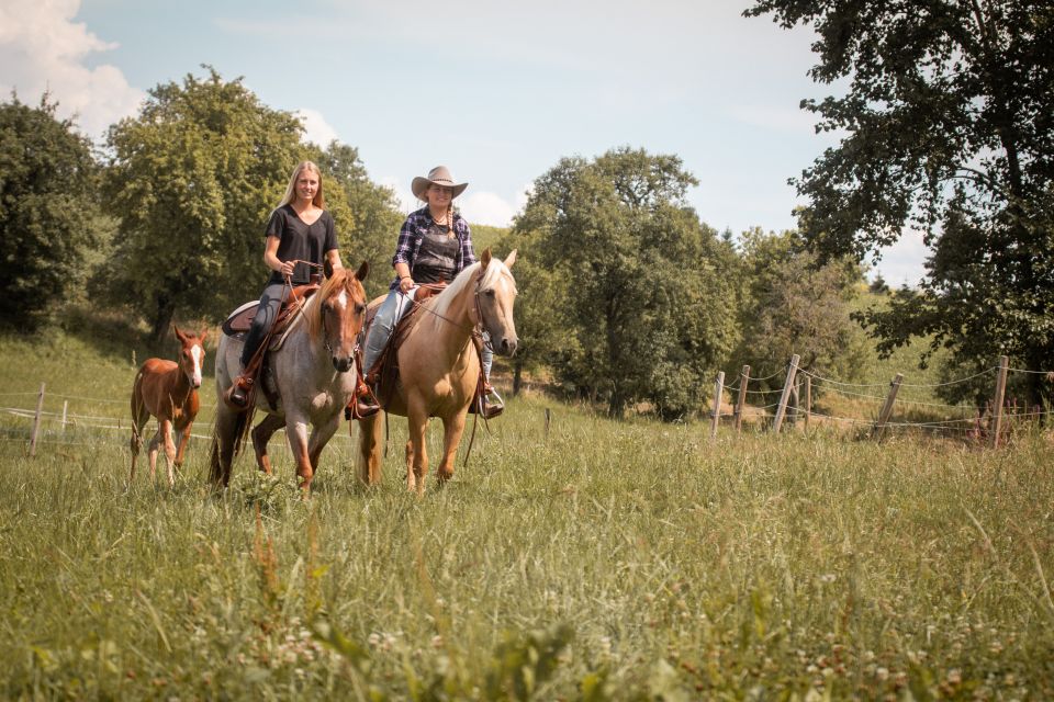 Upper Austria: Landscape, Forests, Meadows - Common questions