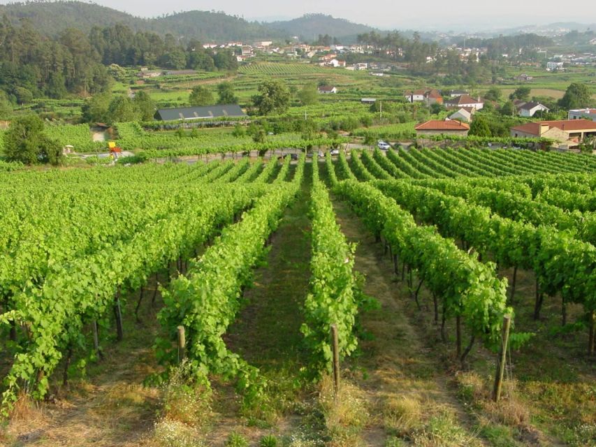 Vinho Verde Private Wine Tour - Inclusions and Booking Information