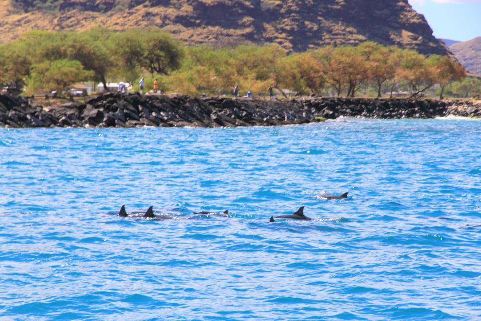 Waianae, Oahu: Swim With Dolphins (Semi-Private Boat Tour) - Booking and Reservation Guidelines