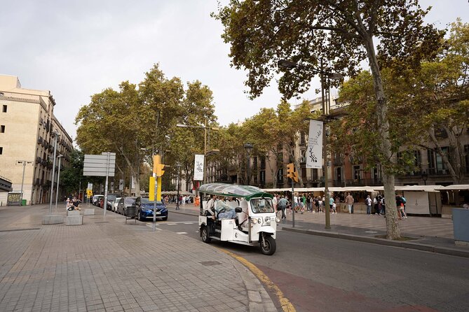 Welcome Tour to Paris by Private Eco Tuk Tuk - Sustainable Sightseeing