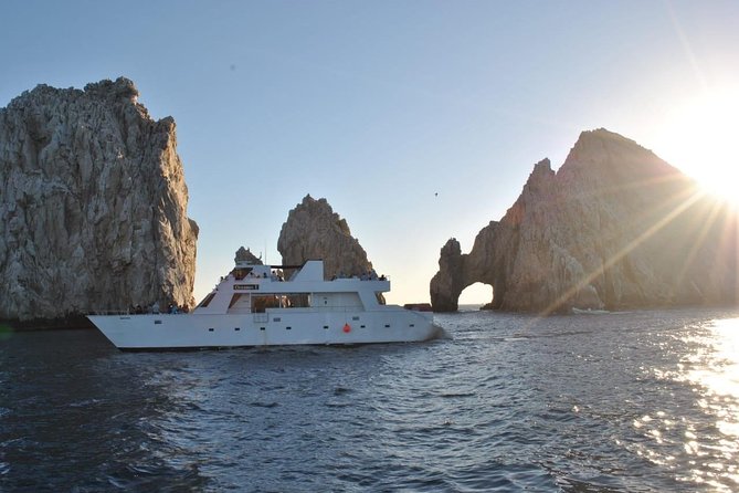 Whale Watching Cruise in Los Cabos - Cancellation Policy and Refunds