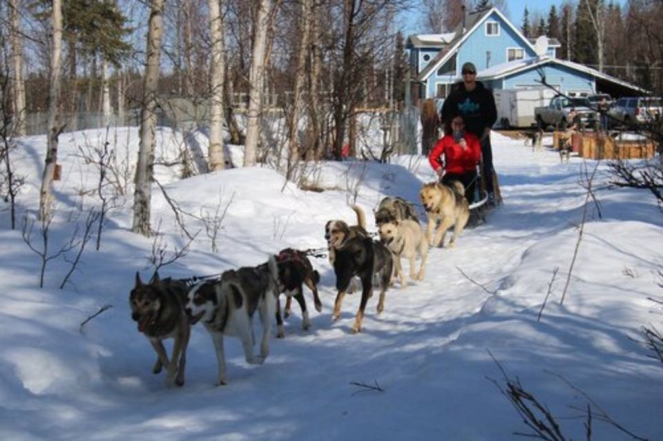 Willow: Traditional Alaskan Dog Sledding Ride - Final Words