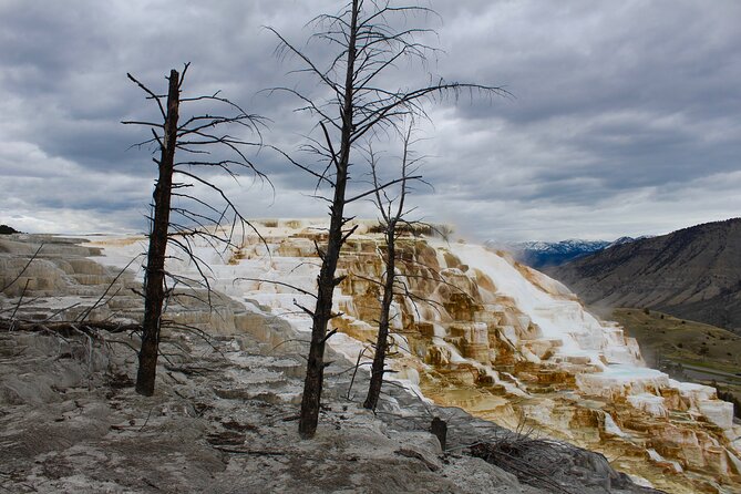 2-Day Yellowstone National Park Upper and Lower Loop Exploration - Common questions