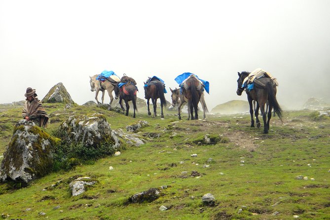 5-Day All-Inclusive Salkantay Trek To Machu Picchu - Departure Information