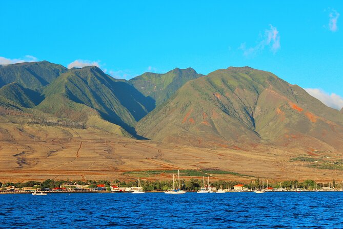 Adventure Sail From Lahaina Harbor - Memorable Experiences and Recommendations