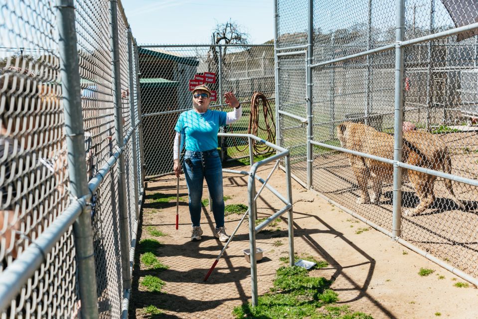 Alpine: Lions Tigers & Bears Sanctuary Visit and Feeding - Common questions