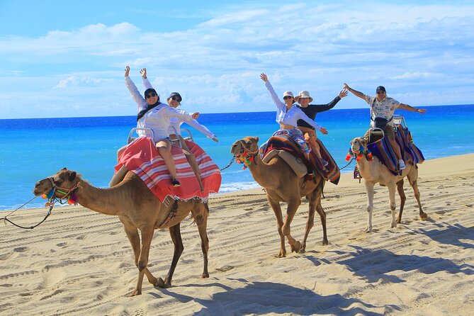 Beach UTV & Camel Ride COMBO in Cabo by Cactus Tours Park - Booking Details