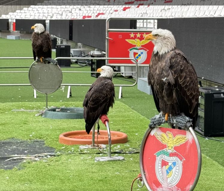 Benfica Stadium and Museum Tour - Direction