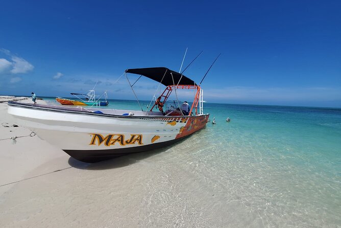 Boat Tour of Three Islands in Holbox With Transportation - How to Book and Contact Details