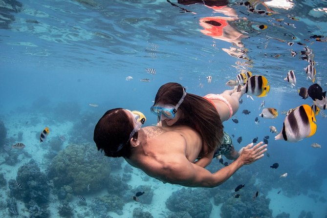 Bora Bora Eco Snorkel Cruise Including Snorkeling With Sharks and Stingrays - Customer Reviews