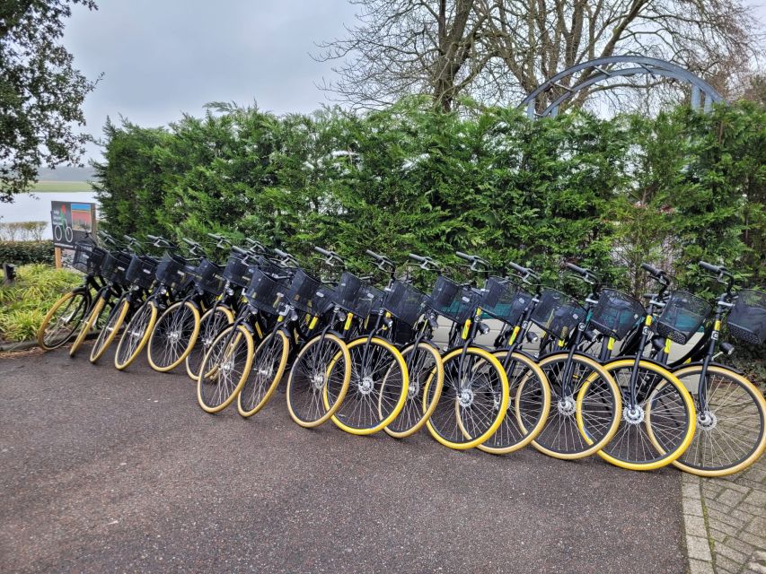 Bulb Region: Dahlias and Mills Bicycle Tour - Tour Guide and Group Size