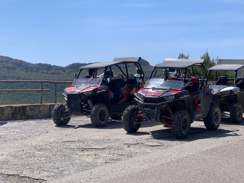 Cala Ratjada: Exclusive Buggy Tour Also for Families - Common questions