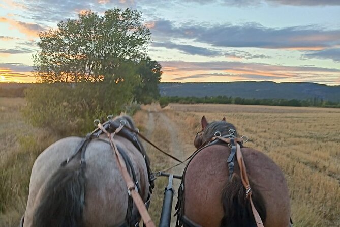 Carriage Rides in the Heart of the Luberon - Final Words