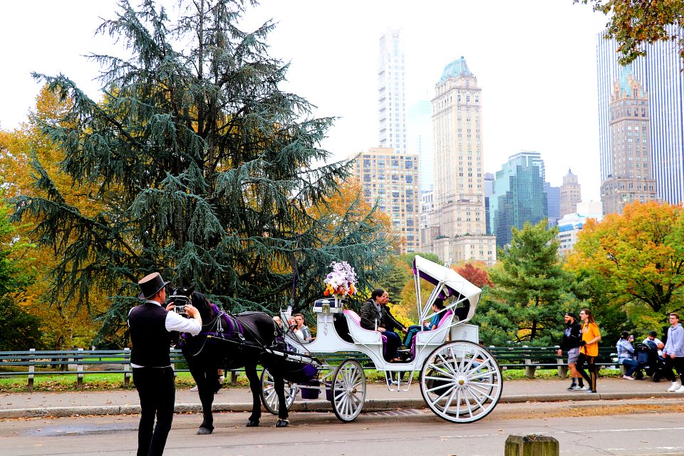 Central Park: Short Horse Carriage Ride (Up to 4 Adults) - Directions