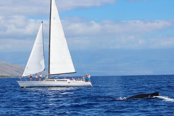 Champagne Sunset Sail From Lahaina Harbor - Final Words