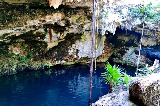 Cultural Cancun City Private Tour, Mayan Museum, Cenote and Lunch - Final Words