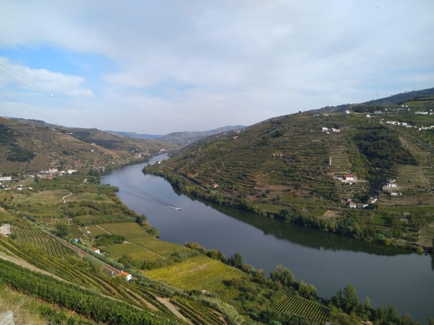 Douro Valley & Amarante - From Porto or Guimarães - Customer Reviews
