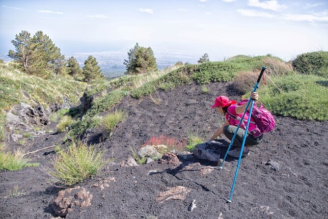 Etna Family Tour Excursion for Families With Children on Etna - Tips for Parents