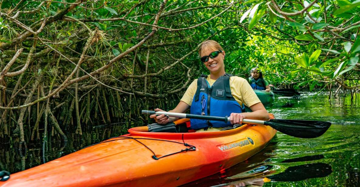 Everglades: Guided Kayak and Airboat Tour - Final Words