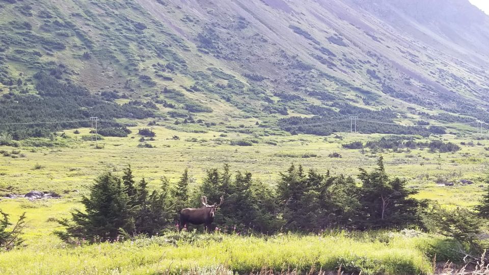 Fat Tire MTB in Chugach State Park Tour - Important Information