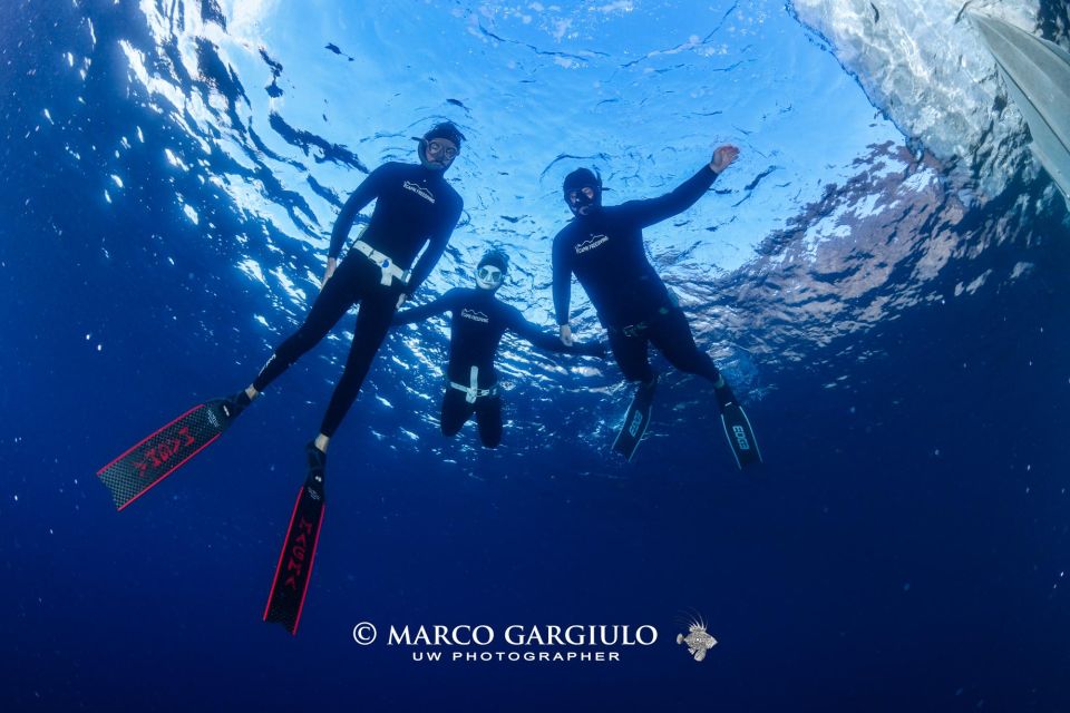 Freediving in the Wild of the Amalfi Coast/Capri/Sorrento: - Common questions