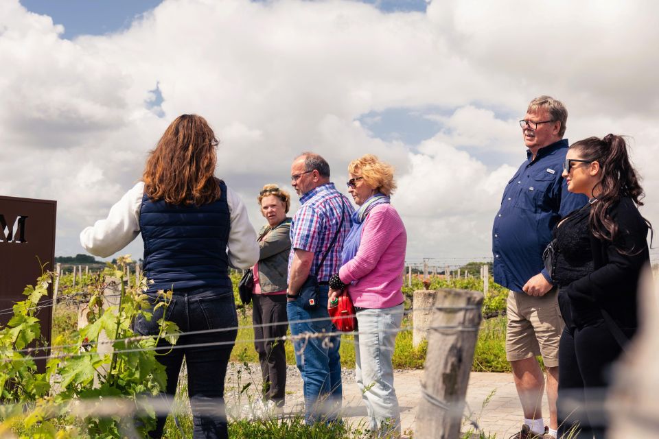 From Bordeaux: Afternoon Wine Tasting in the Medoc Region - Common questions