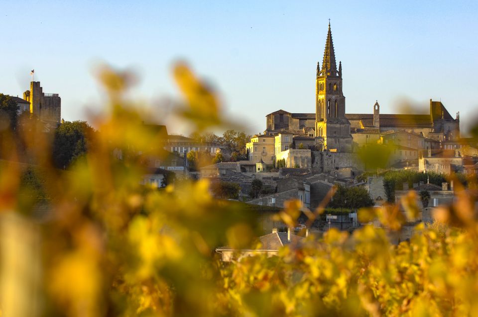From Bordeaux: Full-Day St Emilion Wine Tasting Tour - Additional Information