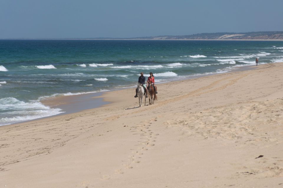 From Lisbon: Horseback Riding on Comporta Beach - Recommendations