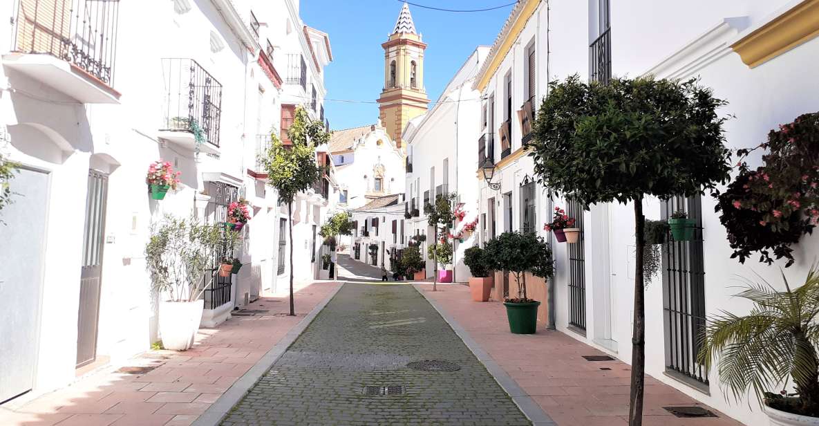 From Marbella: Guided Private Trip to Gibraltar and Estepona - Artistic Delights in Estepona