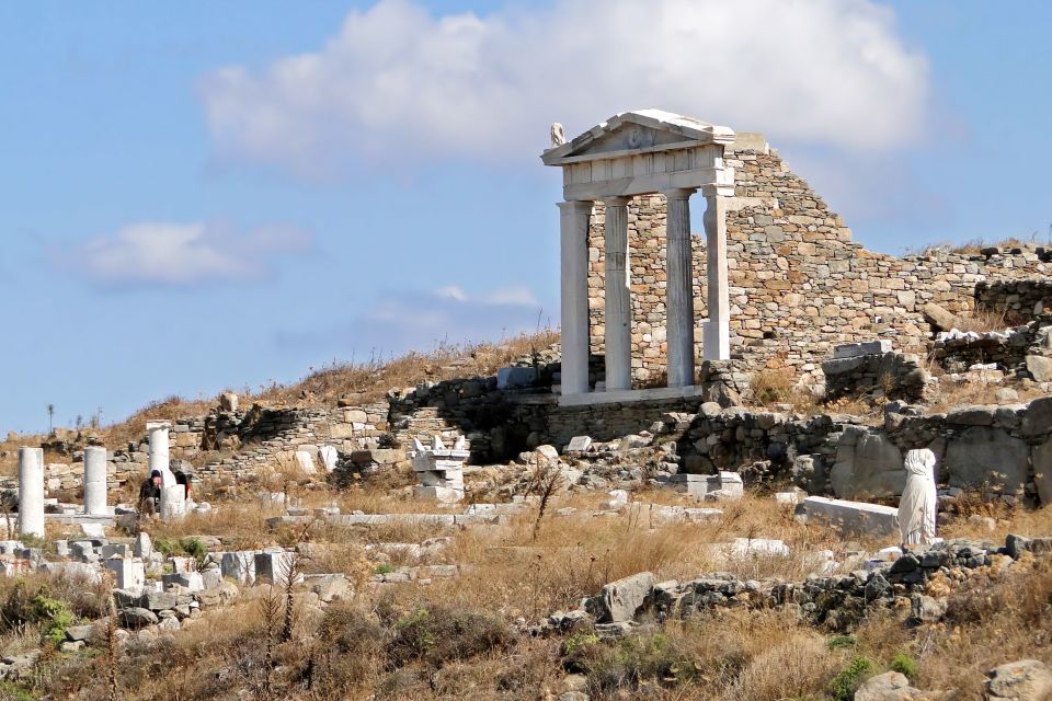 From the Cruise Ship Port: The Original Delos Guided Tour - Common questions