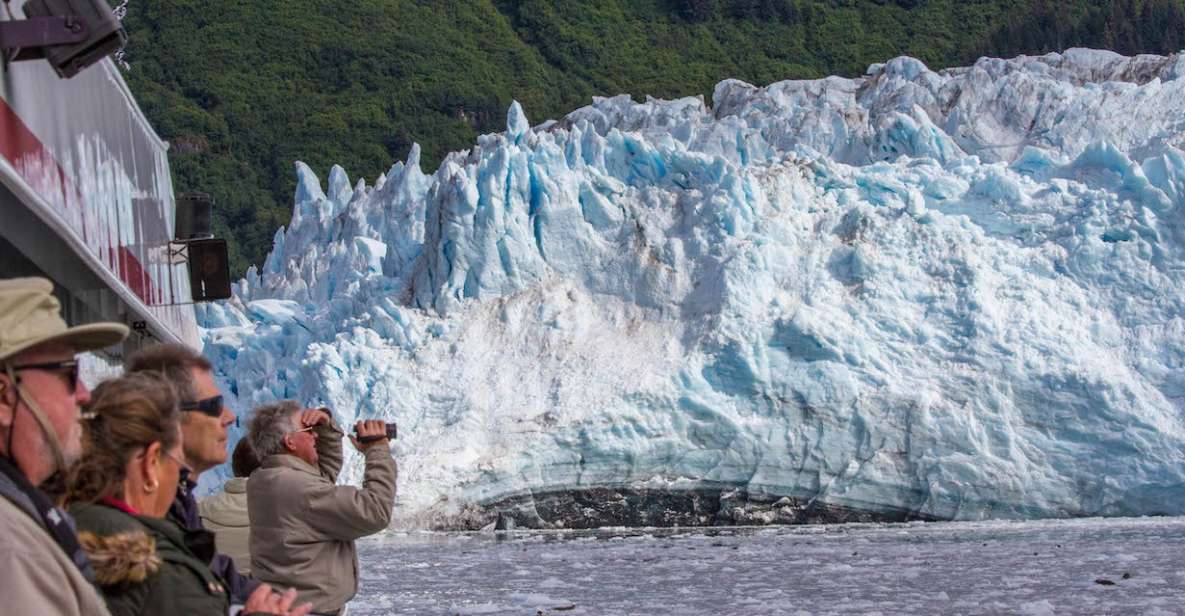 From Valdez: 7.5-hour Meares Glacier & Wildlife Cruise - Final Words