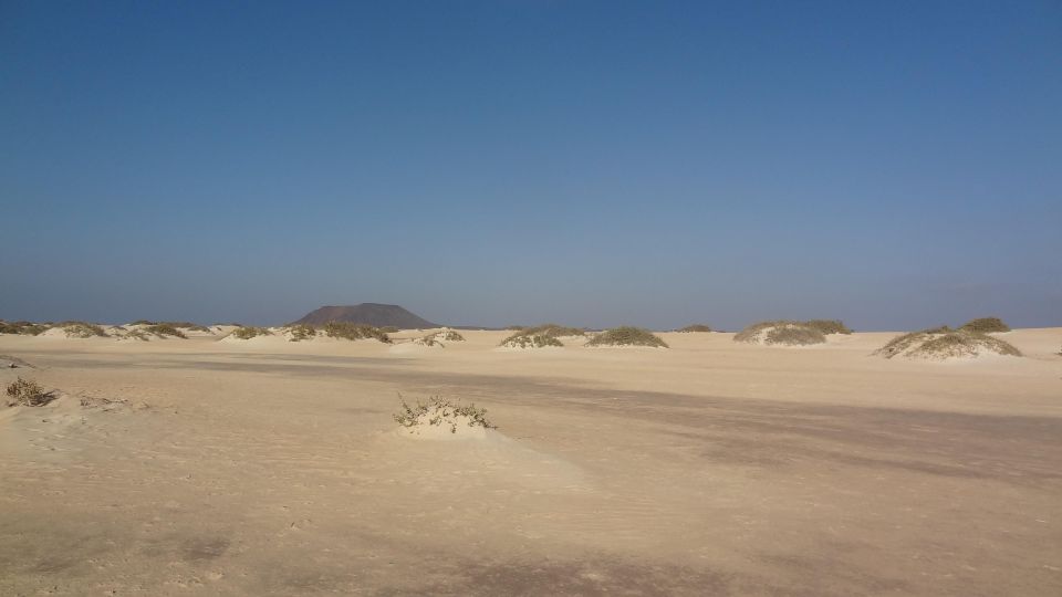 Fuerteventura: Exclusive Private Guided Tour of the North - Final Words