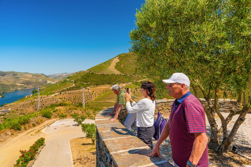 Full-Day Douro Wine Tour With Lunch and River Cruise - Common questions