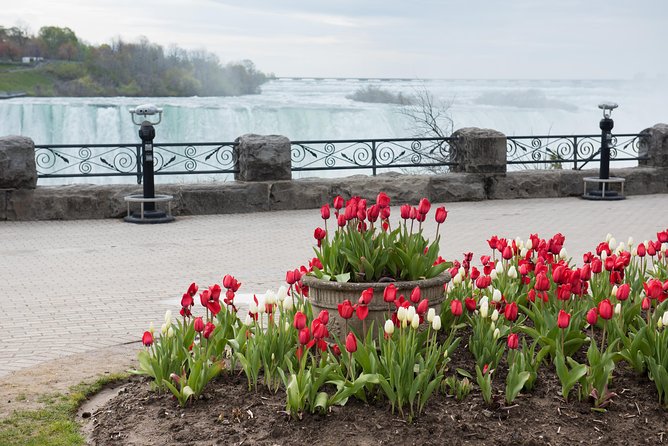 Full-Day Niagara Falls Tour From Toronto - Tour Operator Recommendations