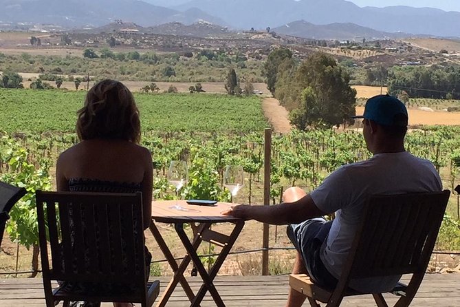 Guadalupe Valley Wine Route Tour in Baja California - Travel Tips