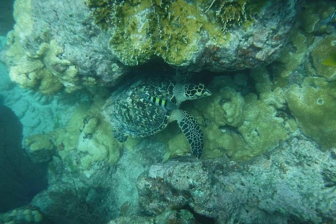 Key West Sunset Snorkel With Unlimited Draft Beer & Wine - Final Words