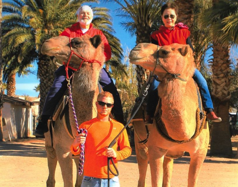 Las Vegas: Desert Camel Ride - Common questions