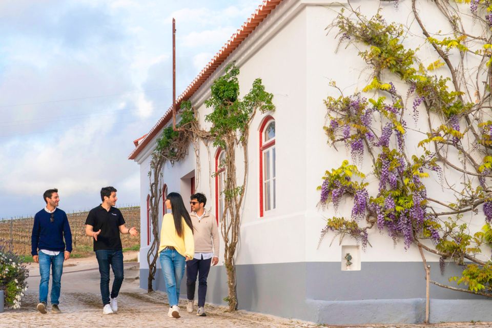 Lisbon: Winery Experience With 4WD Tour and Wine Tasting - Recommendations