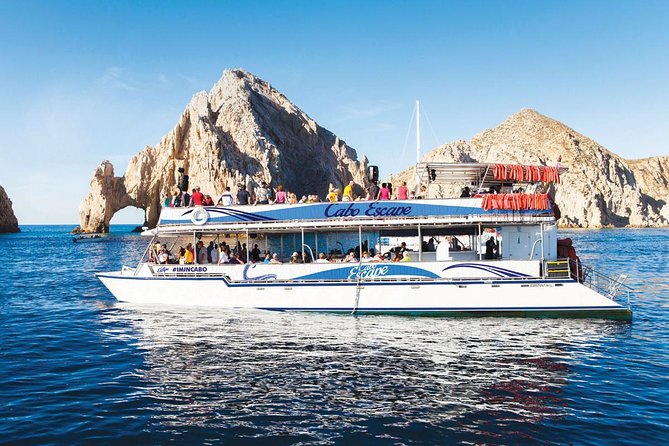 Los Cabos Whale Watching Cruise Including Breakfast