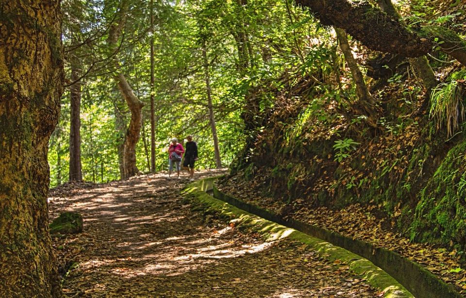 Madeira: Santana Jeep Safari and Levada Tour - Pricing Details