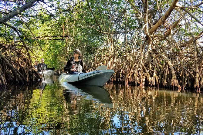 Mangrove Tunnels, Manatee, and Dolphin Sunset Kayak Tour With Fin Expeditions - Common questions