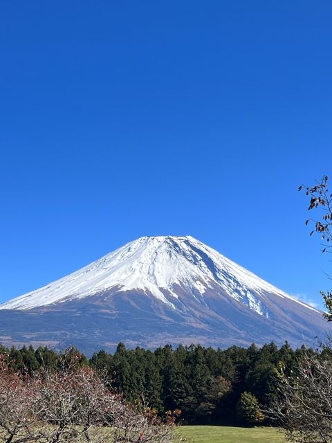 Mt. Fuji: 2-Day Climbing Tour - Common questions