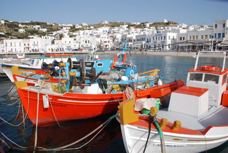 Mykonos: Half-Day City Walking Tour and Island Bus Tour - Common questions