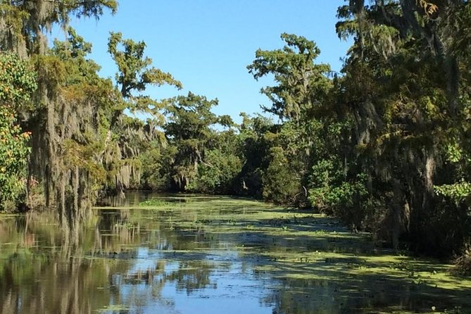 New Orleans City and Swamp Full-Day Tour - Final Words