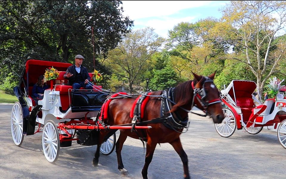 NYC: Guided Standard Central Park Carriage Ride (4 Adults) - Final Words